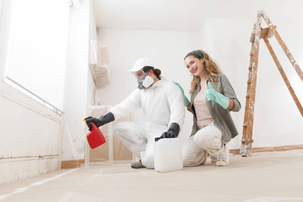 Best Mold Damage Restoration  in Olivet, MI